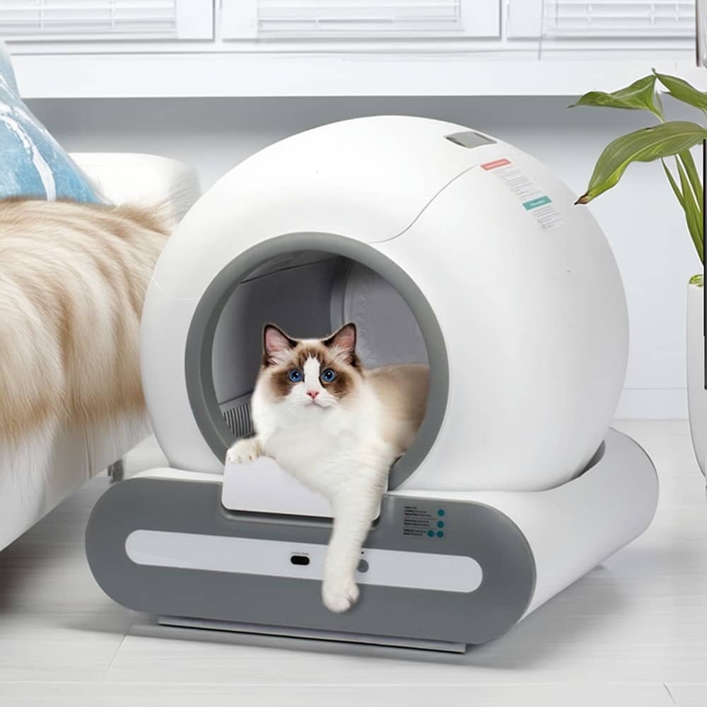 Litière Automatique pour Chat - Autonettoyante et Intelligente - Modèle 2025