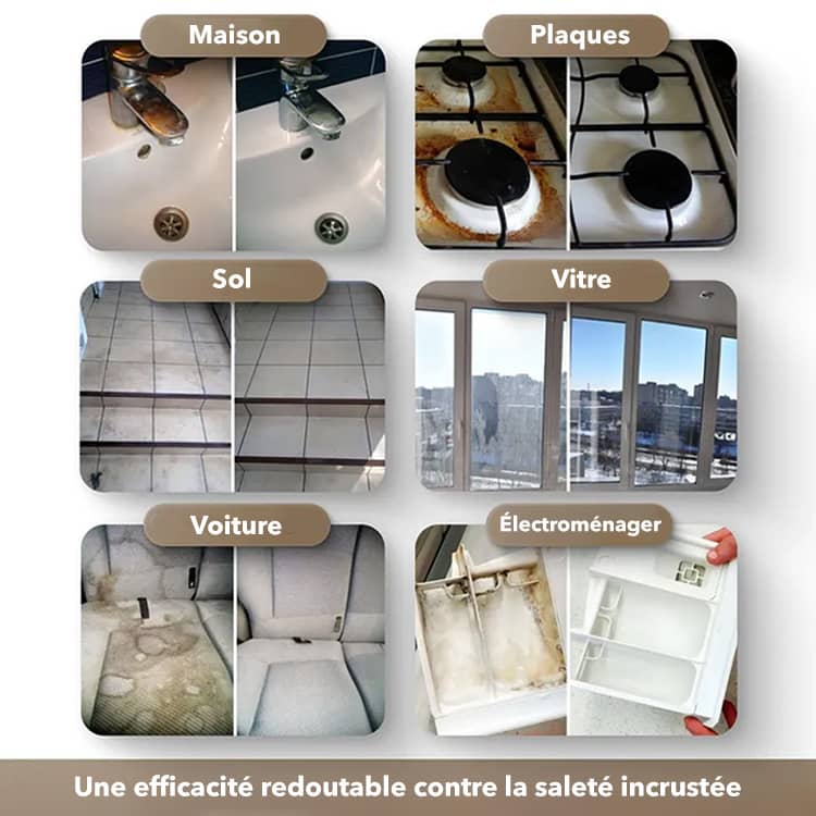 Nettoyeur Vapeur SteamPro Portable à Main 1,1 L