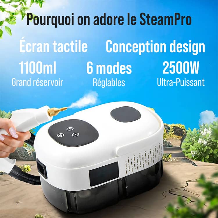 Nettoyeur Vapeur SteamPro Portable à Main 1,1 L