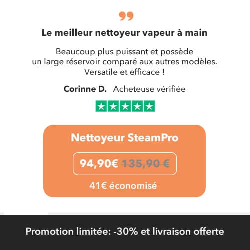 Nettoyeur Vapeur SteamPro Portable à Main 1,1 L